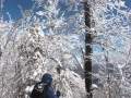 Balsam Catskills Winter - YouTube