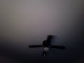 Fan Three