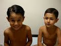 meus filhotes