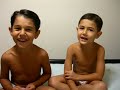 meus filhotes