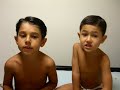 meus filhotes