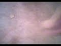 majic osmund... 2