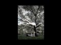AcroYoga Jedi Series: Matt Giordano & Adam Rinder