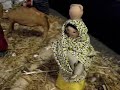 Presepe di cartapesta 2008 0001