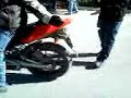profilattico on derbi gpr 50