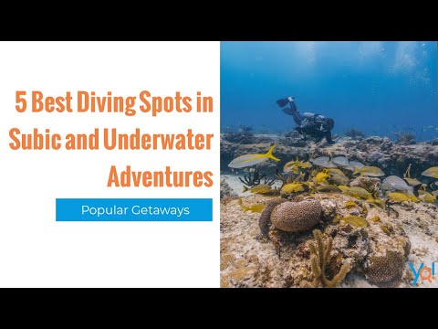 5 Diving Spots in Subic | Best Diving Spots for Your Scuba Diving and