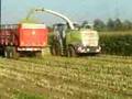 ensilage
