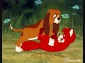 DisneyMovies - The Fox&the Hound,the Best Friends