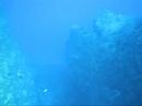 Grotto dive Grotto dive