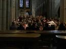 Haydn Nelson Mass (2) Haydn Nelson Mass (2)