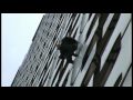 The French Spiderman
