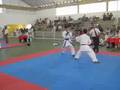 Shin Shu Kan