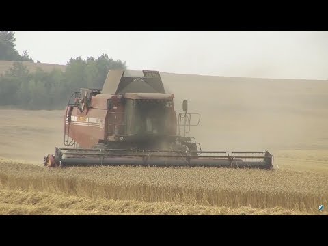 Вести Барановичи 26 июня 2017.