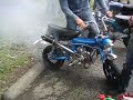 Darmowe filmy - Honda Dax Burning his tires Honda Dax Burning his tires