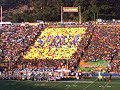 UC Berkeley Golden Bears Football - Card Section at Halftime
