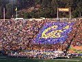 UC Berkeley Golden Bears Football - Card Section at Halftime
