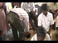Samuel Mejia Jr. en Liberacion de demonios a mujer Hindú.Deliverance from Evil Spirit in India