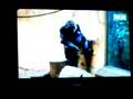 Mother gorilla morns baby's death