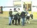 A Video of Max Randell and  Alex Randell Horseback Riding