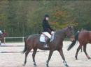 Alison et Goldene