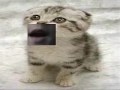 subliminal-message.html