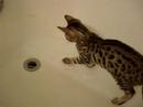 butters-in-the-tub