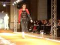 moda domani 2008 reis alexandre en vidéo MPG