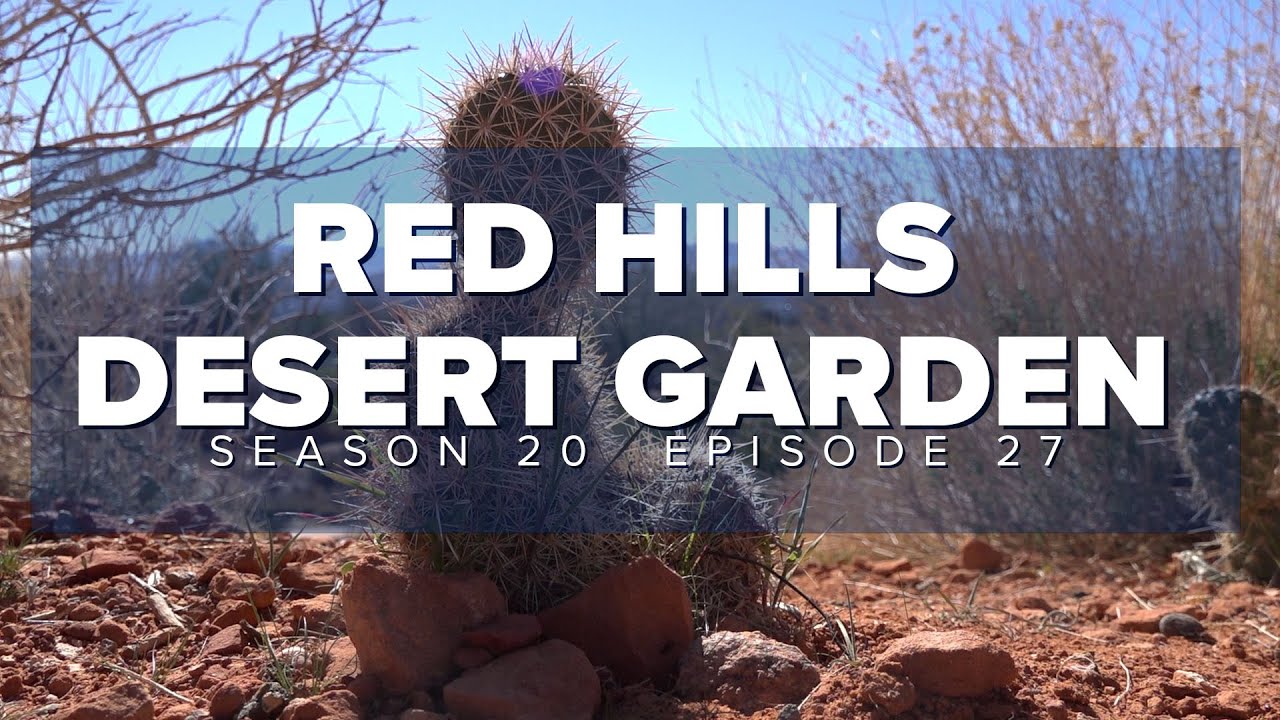 S20 E27: Red Hills Desert Garden