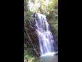 Berry Creek Falls (Big Basin, Redwoods State Park ...