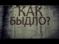 Януковичу и его банде хакеры объявили войну
