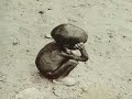 extraterrestrial-mission-to-earth.html