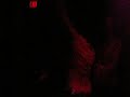 rise night club   tomale balinha toma
