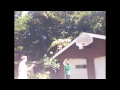 Absurd Basketball Shots