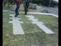 videos de skate