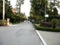 longboard carving in west vancouver