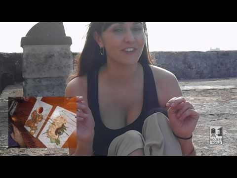 Puerto Rico - http://www.woltersworld.com Visiting Puerto Rico and not sure what to expect? Jocelyn from Wolters World goes through her 5 things she loves and hates/dislik...