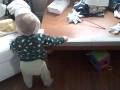 videos de the pre-walking series - Soren walks along table