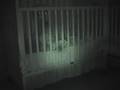 Twins Night Shot