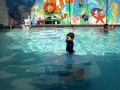 Pixie swimming.