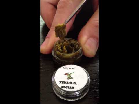 Xena OG Nectar