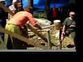 Faerie Camp Destiny Barn Raising