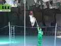 erotic-funny-animal-sex-high-up-on-a-tree-tv14.html