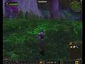 Nightelf Goes Crazy
