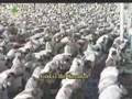 Sheikh Abdullah Jawwad Al Juhany  Surah Al Haqqa
