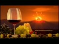 Macedonia Timeless 6 ( Macedonian Wines ) - Македонија Вечна (full video version)