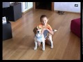 Un Beagle per la vita Un Beagle per la vita