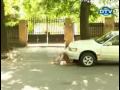 Sexy Hidden Camera الكاميرا الخفيه سكس