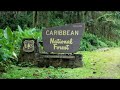 Si Tu Te Vas El Yunque, Puerto Rico