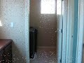 Paseos Summerlin Foreclosure