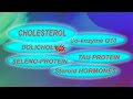 Mevalonate Inhibition